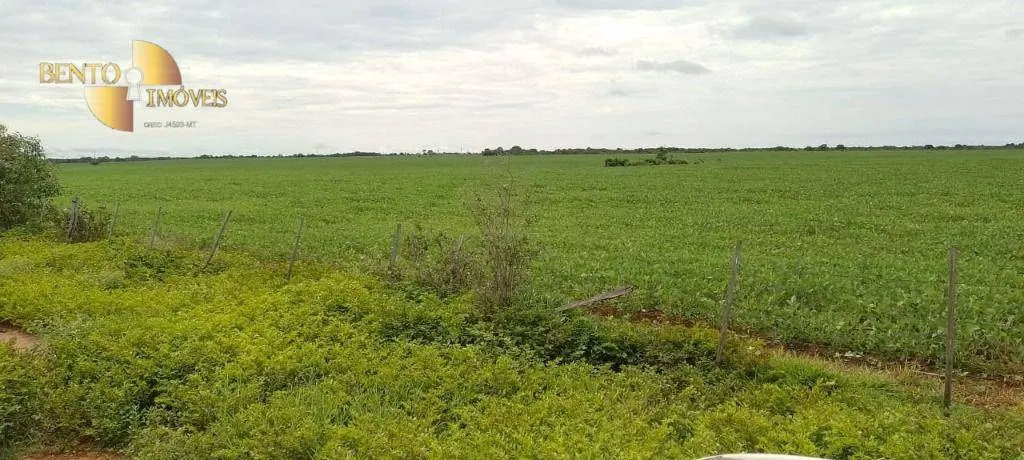 Fazenda à venda de 727 ha em Poconé, MT, Brasil