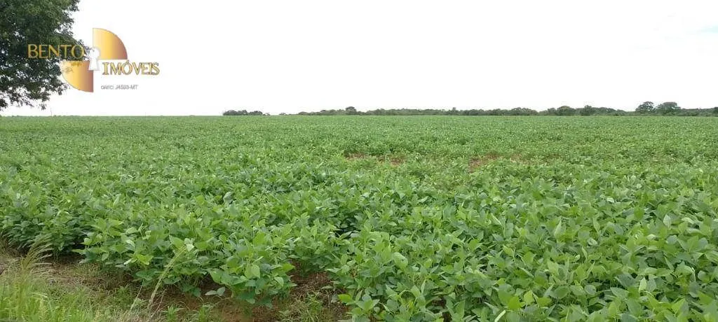 Fazenda à venda de 727 ha em Poconé, MT, Brasil