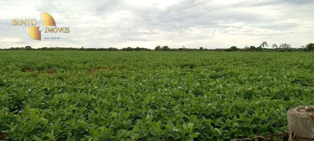 Fazenda à venda de 727 ha em Poconé, MT, Brasil