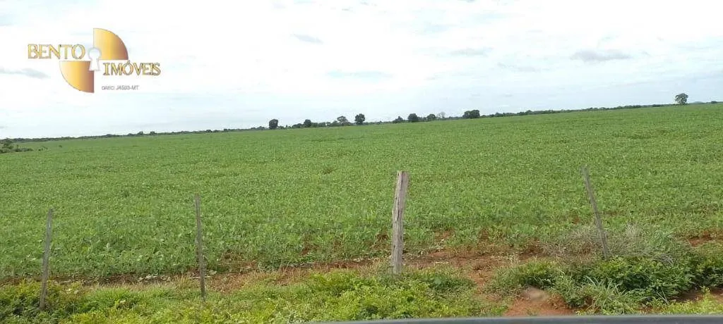 Fazenda à venda de 727 ha em Poconé, MT, Brasil