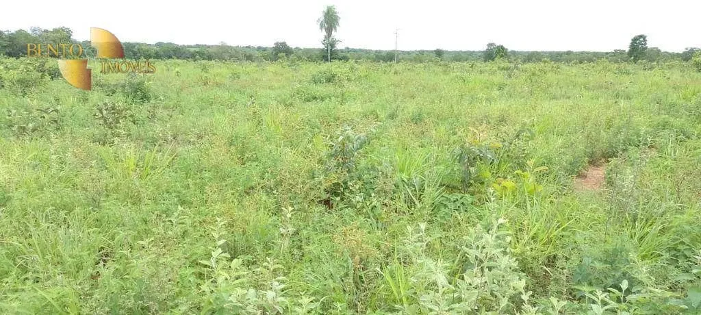 Fazenda à venda de 727 ha em Poconé, MT, Brasil