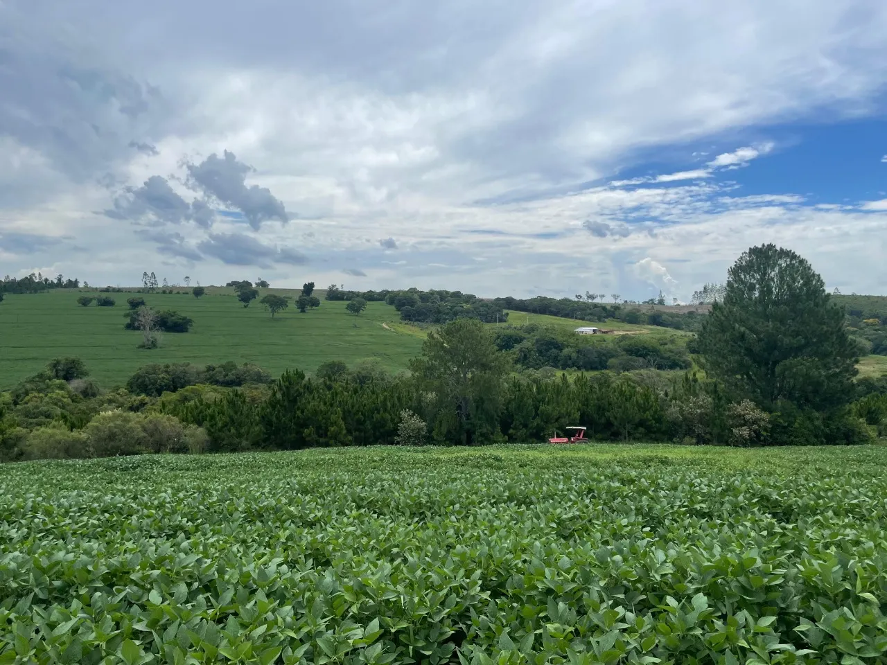 Fazenda à venda de 97 ha em Angatuba, SP, Brasil