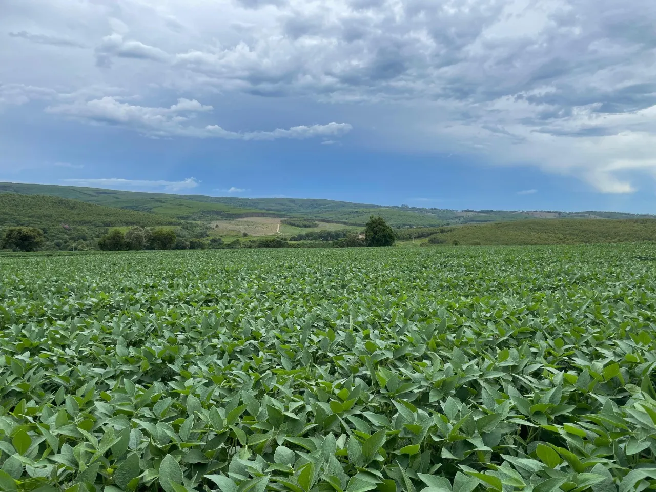 Fazenda à venda de 97 ha em Angatuba, SP, Brasil