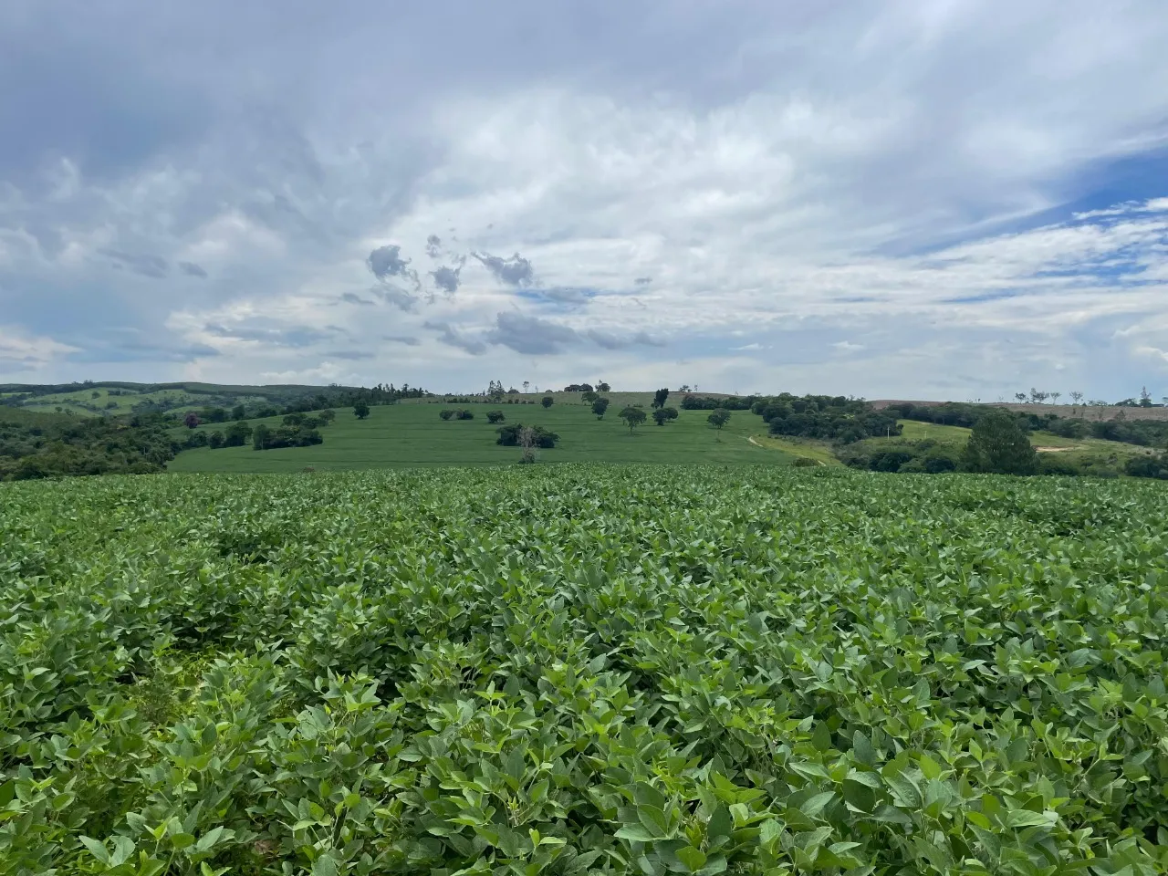 Fazenda à venda de 97 ha em Angatuba, SP, Brasil