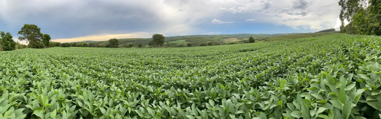 Fazenda à venda de 97 ha em Angatuba, SP, Brasil