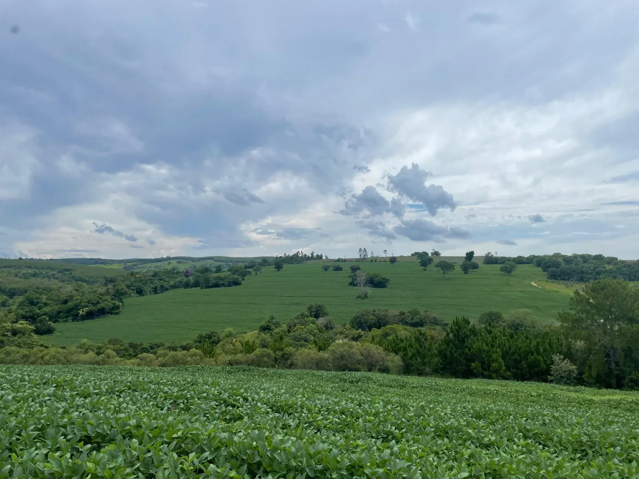 Fazenda à venda de 97 ha em Angatuba, SP, Brasil