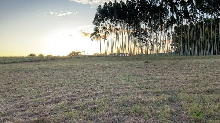 Country home for sale of 5 acres in Glorinha, RS, Brazil