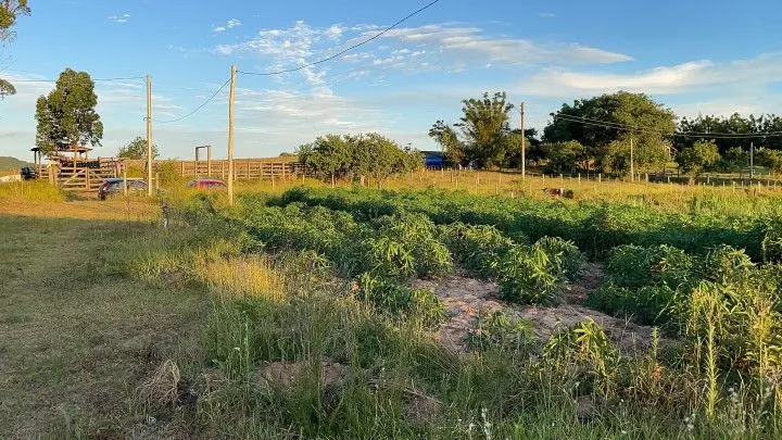 Country home for sale of 5 acres in Glorinha, RS, Brazil