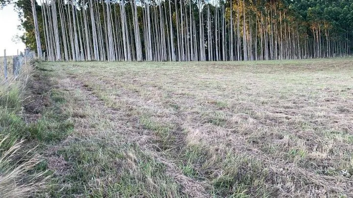 Country home for sale of 5 acres in Glorinha, RS, Brazil