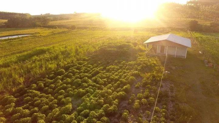 Country home for sale of 5 acres in Glorinha, RS, Brazil