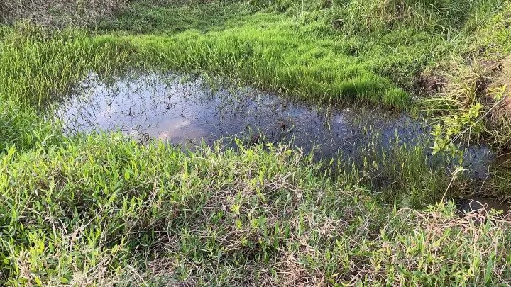 Country home for sale of 5 acres in Glorinha, RS, Brazil