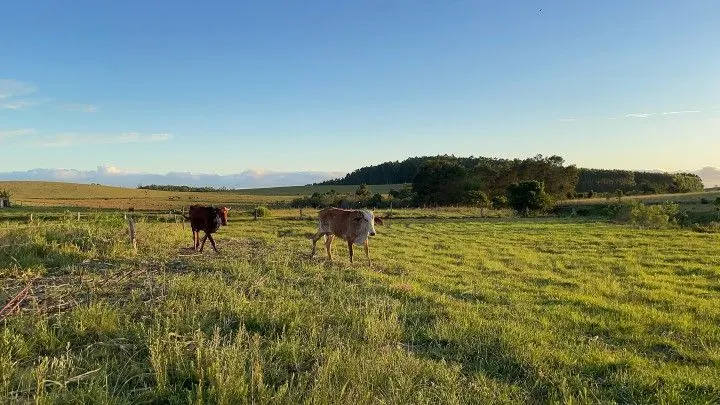 Country home for sale of 5 acres in Glorinha, RS, Brazil