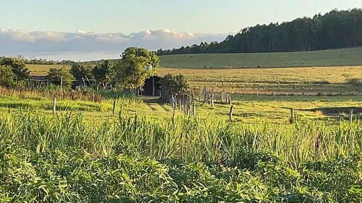 Country home for sale of 5 acres in Glorinha, RS, Brazil