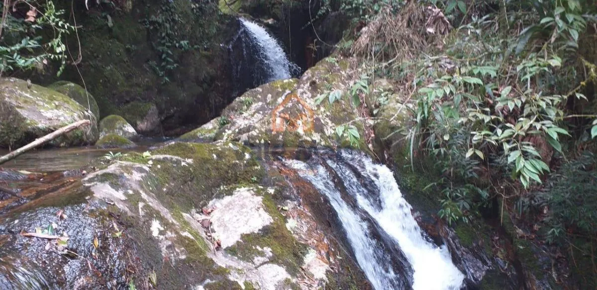 Sítio à venda de 46 ha em Silveiras, SP, Brasil