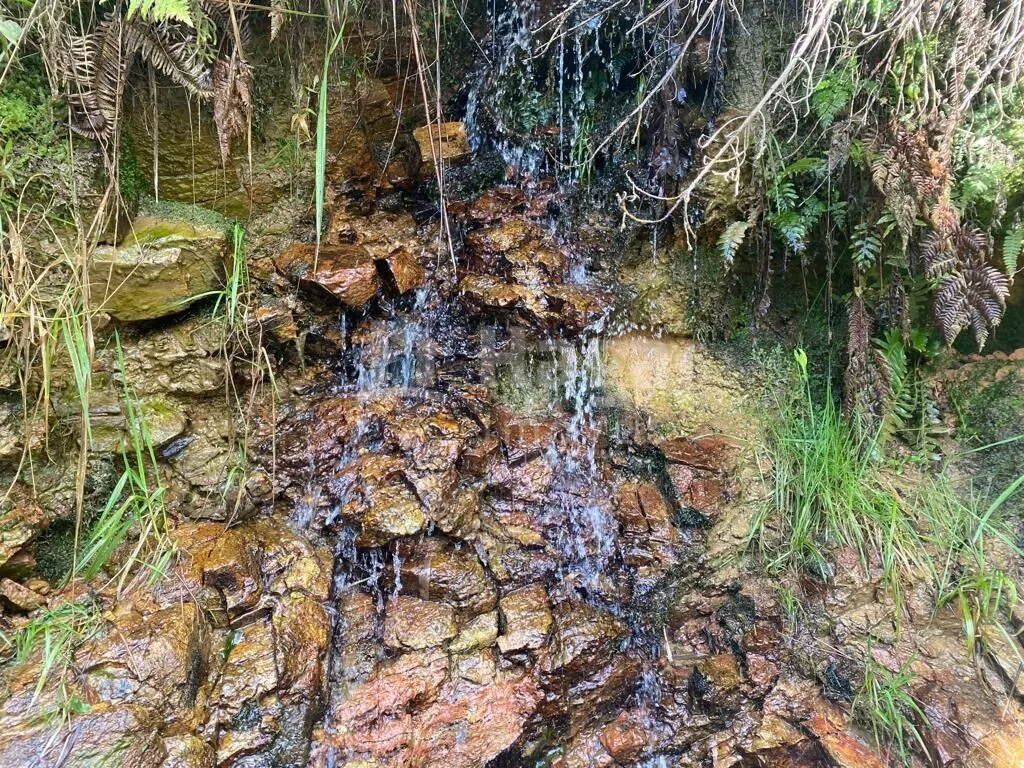 Fazenda à venda de 5 ha em Major Gercino, SC, Brasil