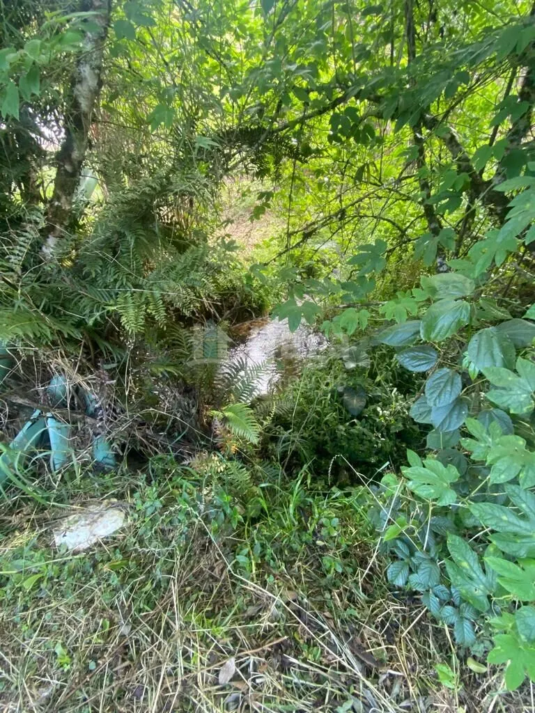 Farm for sale of 12 acres in Major Gercino, SC, Brazil