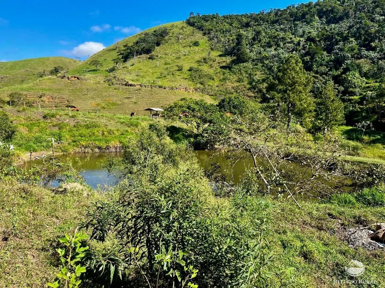 Fazenda à venda de 1.185 ha em São José do Barreiro, SP, Brasil