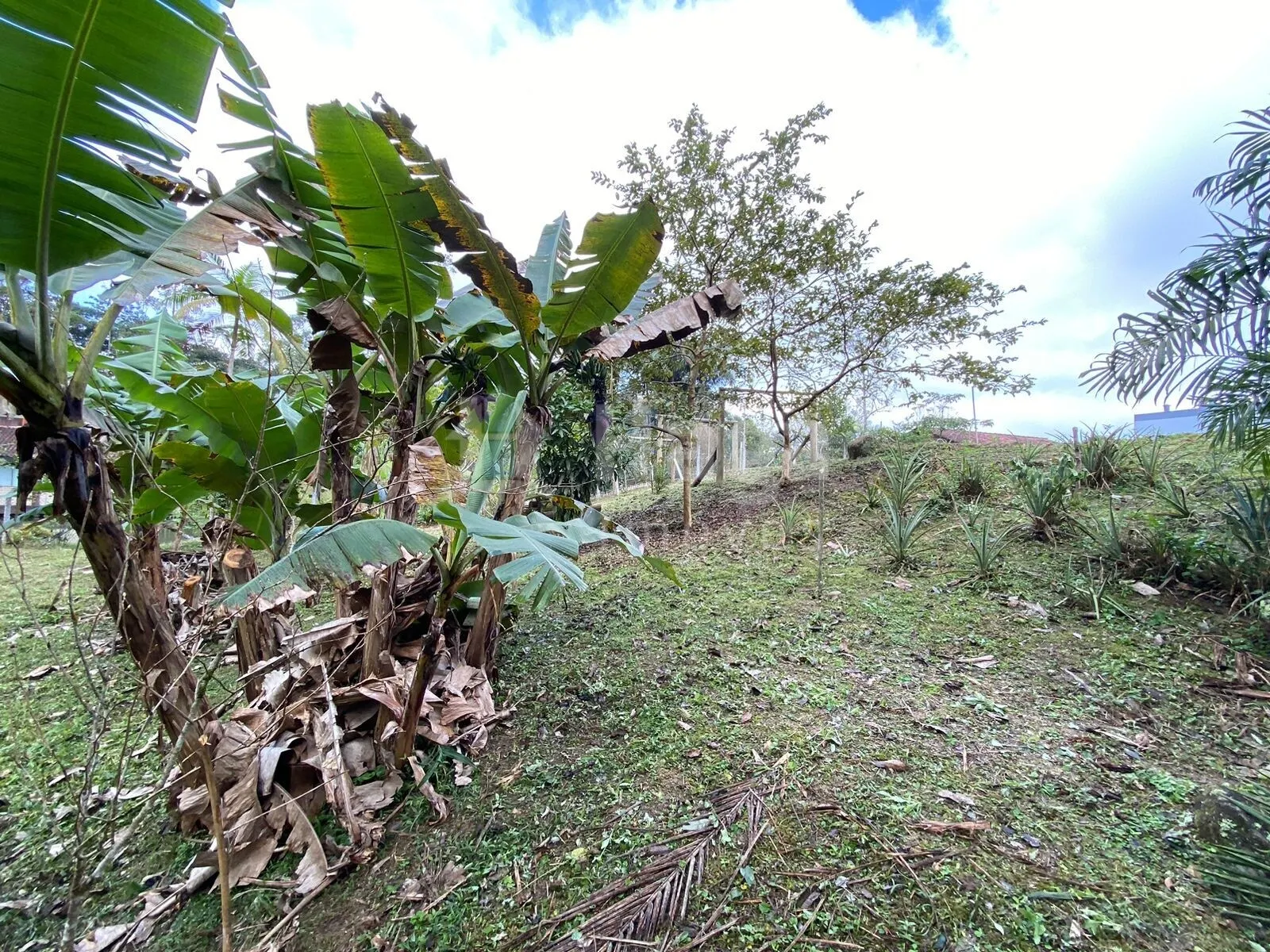 Chácara à venda de 9.110 m² em Guabiruba, SC, Brasil