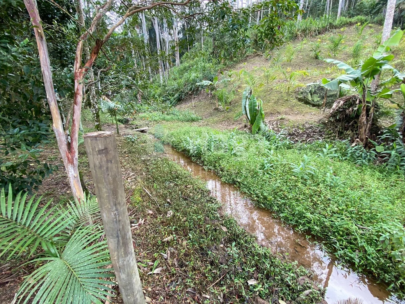 Chácara à venda de 9.110 m² em Guabiruba, SC, Brasil