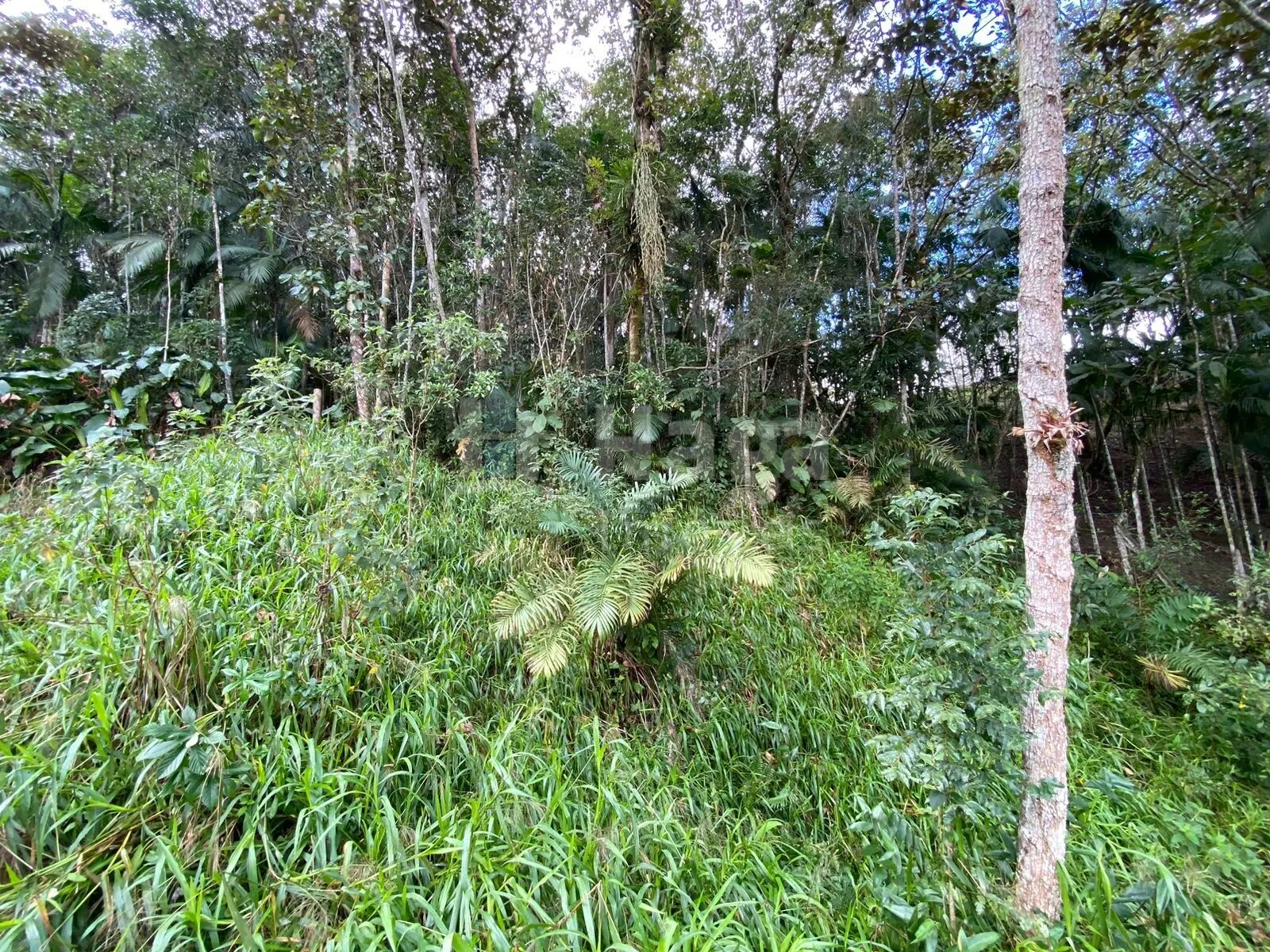 Chácara à venda de 9.110 m² em Guabiruba, SC, Brasil