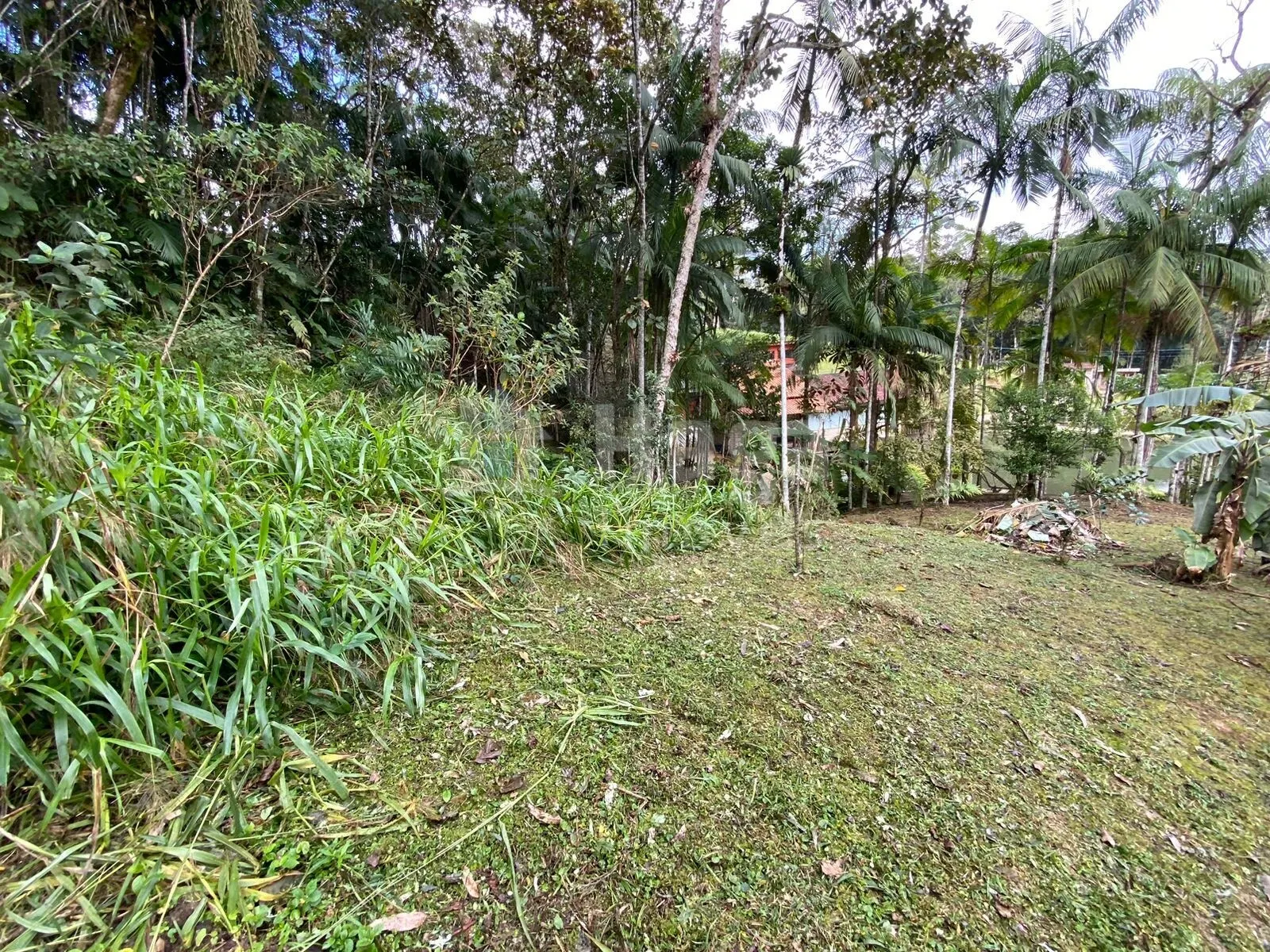 Chácara à venda de 9.110 m² em Guabiruba, SC, Brasil