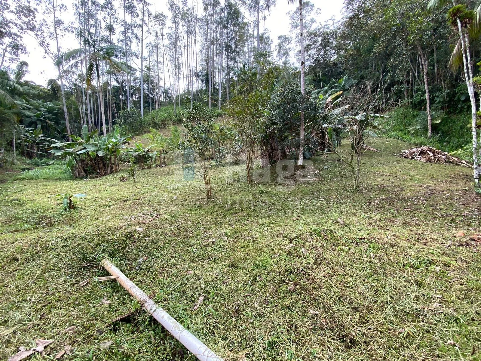 Chácara à venda de 9.110 m² em Guabiruba, SC, Brasil