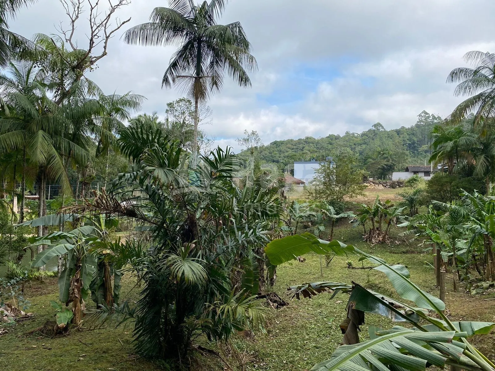 Chácara à venda de 9.110 m² em Guabiruba, SC, Brasil