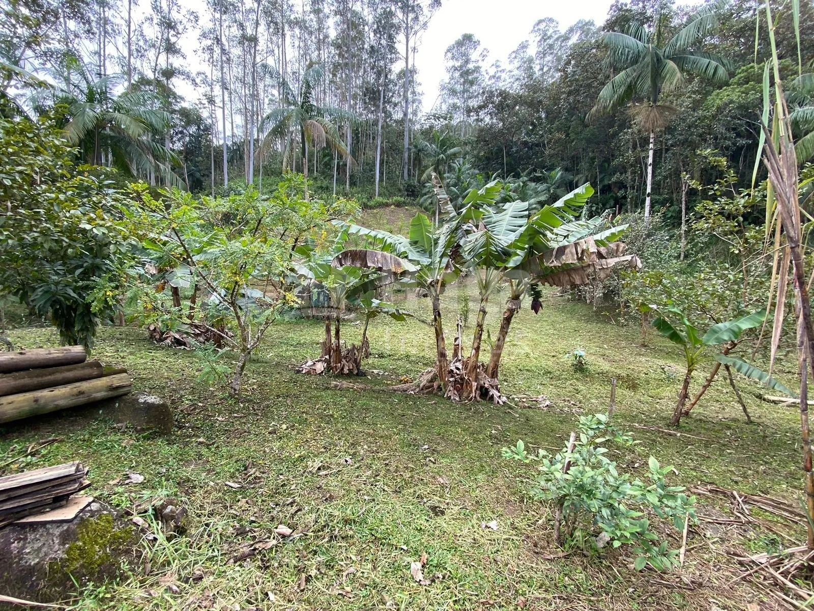 Chácara à venda de 9.110 m² em Guabiruba, SC, Brasil