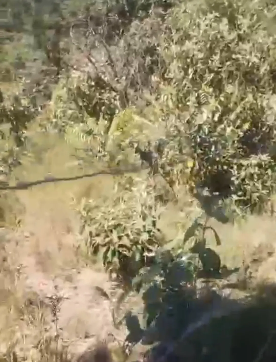Terreno à venda de 2 ha em Brasília, DF, Brasil