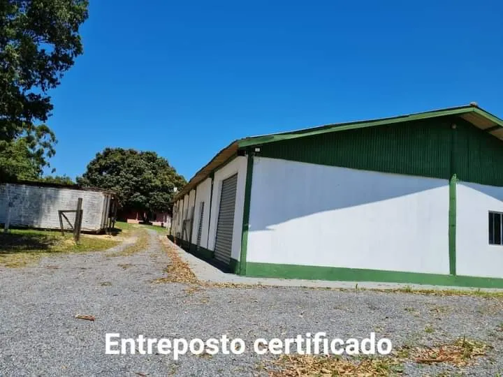 Sítio à venda de 24 ha em Itapetininga, SP, Brasil