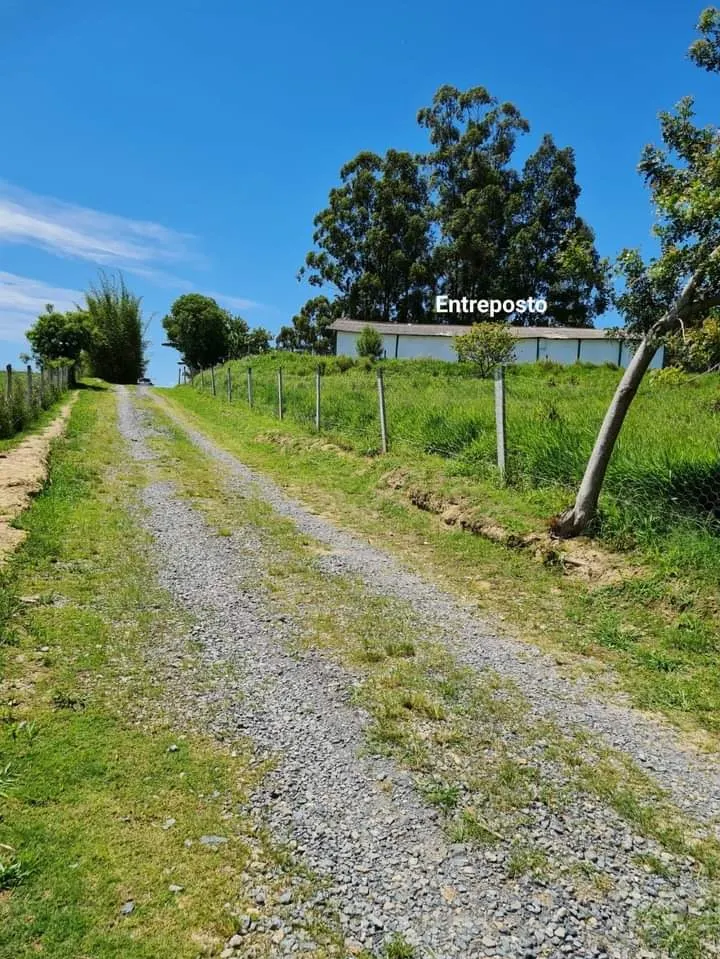 Sítio à venda de 24 ha em Itapetininga, SP, Brasil