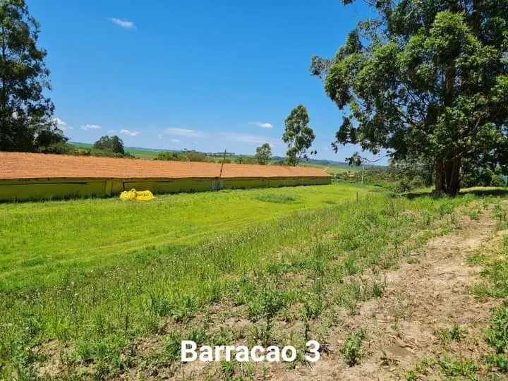Sítio à venda de 24 ha em Itapetininga, SP, Brasil