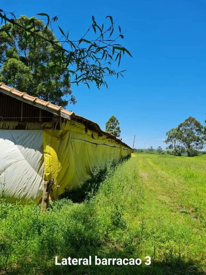 Sítio à venda de 24 ha em Itapetininga, SP, Brasil