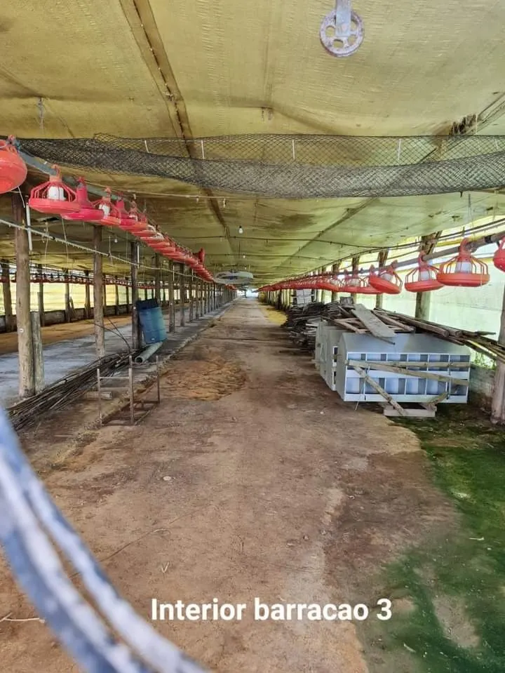Sítio à venda de 24 ha em Itapetininga, SP, Brasil