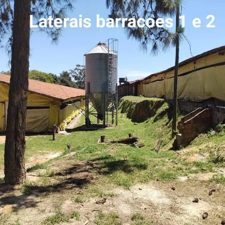 Sítio à venda de 24 ha em Itapetininga, SP, Brasil