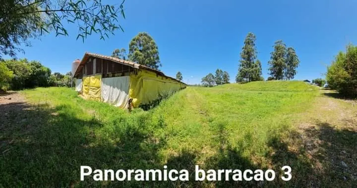 Sítio à venda de 24 ha em Itapetininga, SP, Brasil