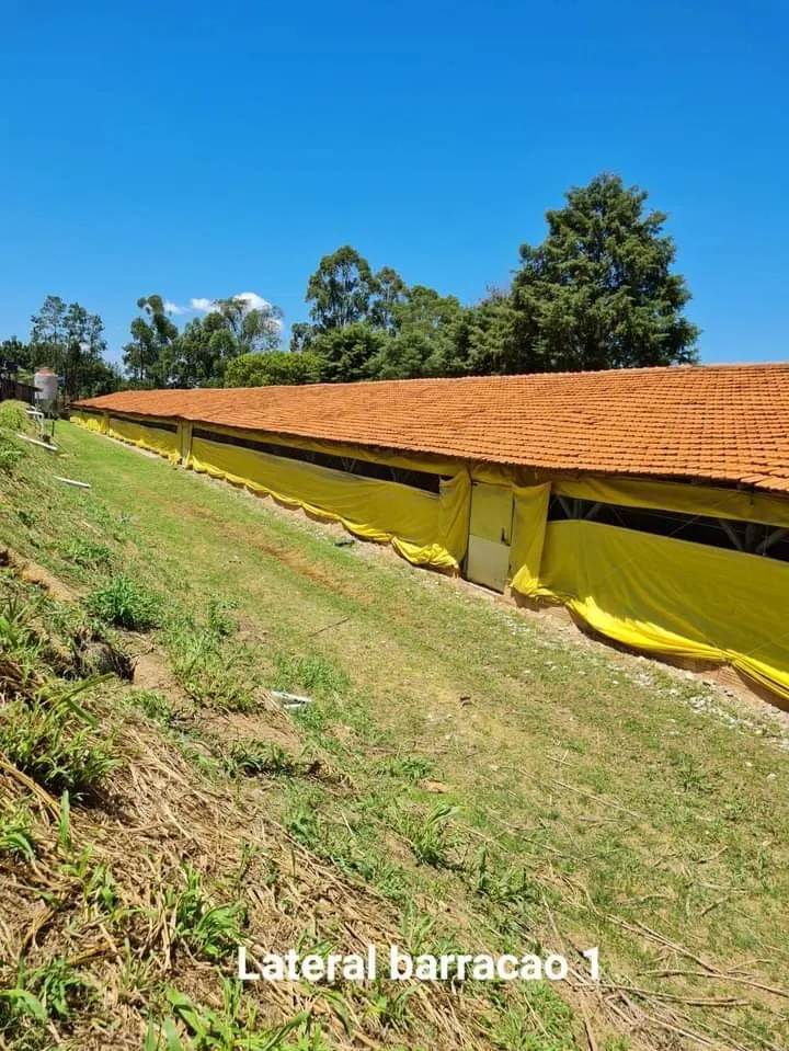 Sítio à venda de 24 ha em Itapetininga, SP, Brasil