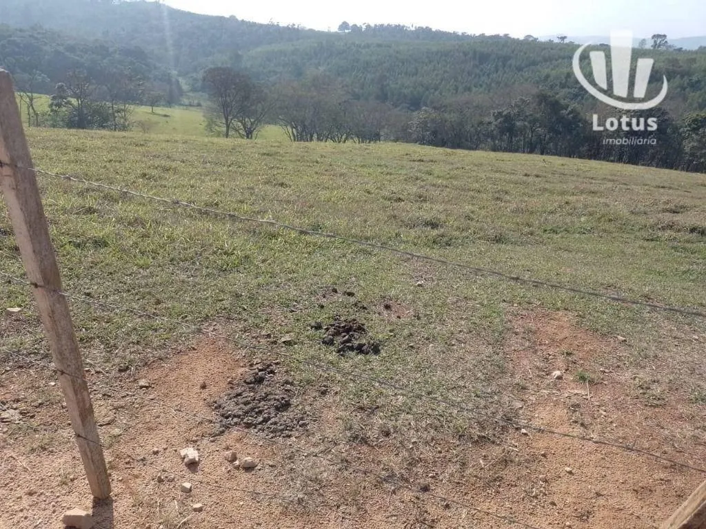 Fazenda à venda de 73 ha em Jaguariúna, SP, Brasil