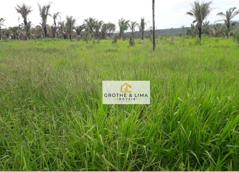 Fazenda à venda de 2.812 ha em Recursolândia, TO, Brasil