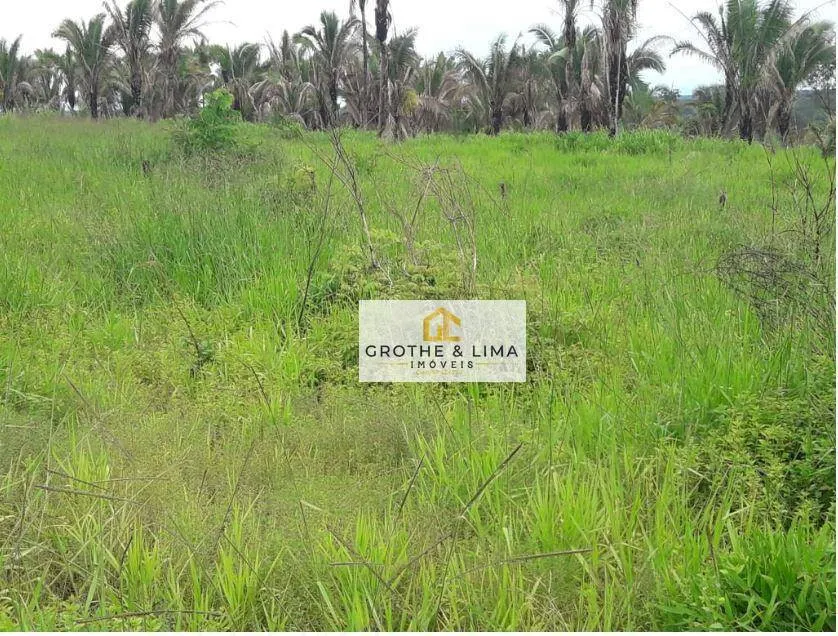 Fazenda à venda de 2.812 ha em Recursolândia, TO, Brasil