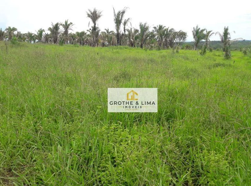 Fazenda à venda de 2.812 ha em Recursolândia, TO, Brasil