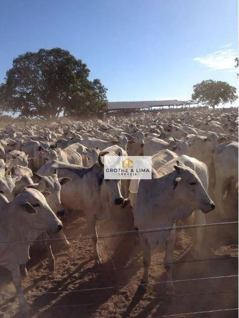 Fazenda à venda de 2.812 ha em Recursolândia, TO, Brasil