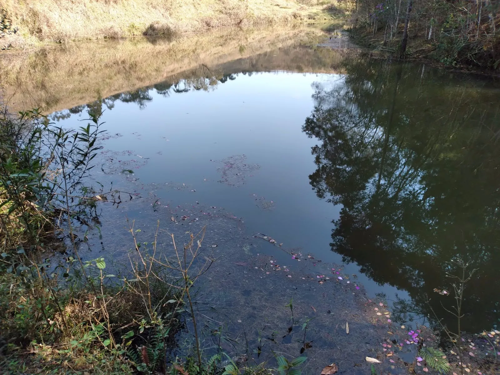 Small farm for sale of 7 acres in Igaratá, SP, Brazil