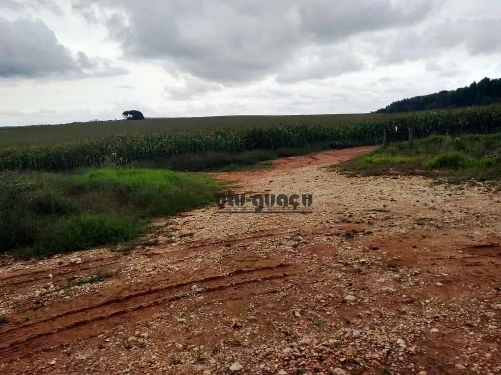 Fazenda à venda de 351 ha em Itapetininga, SP, Brasil