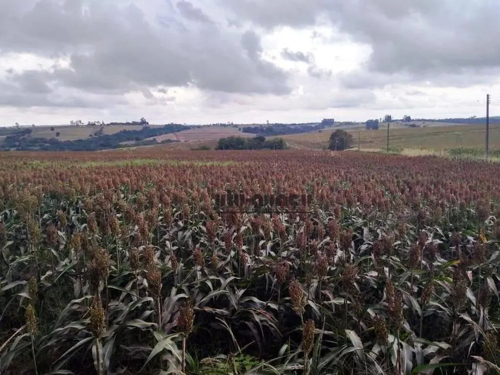 Fazenda à venda de 351 ha em Itapetininga, SP, Brasil