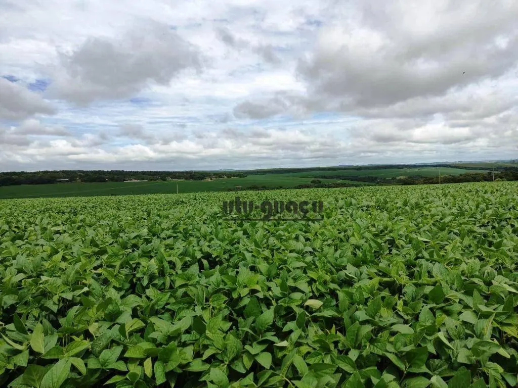 Fazenda à venda de 351 ha em Itapetininga, SP, Brasil
