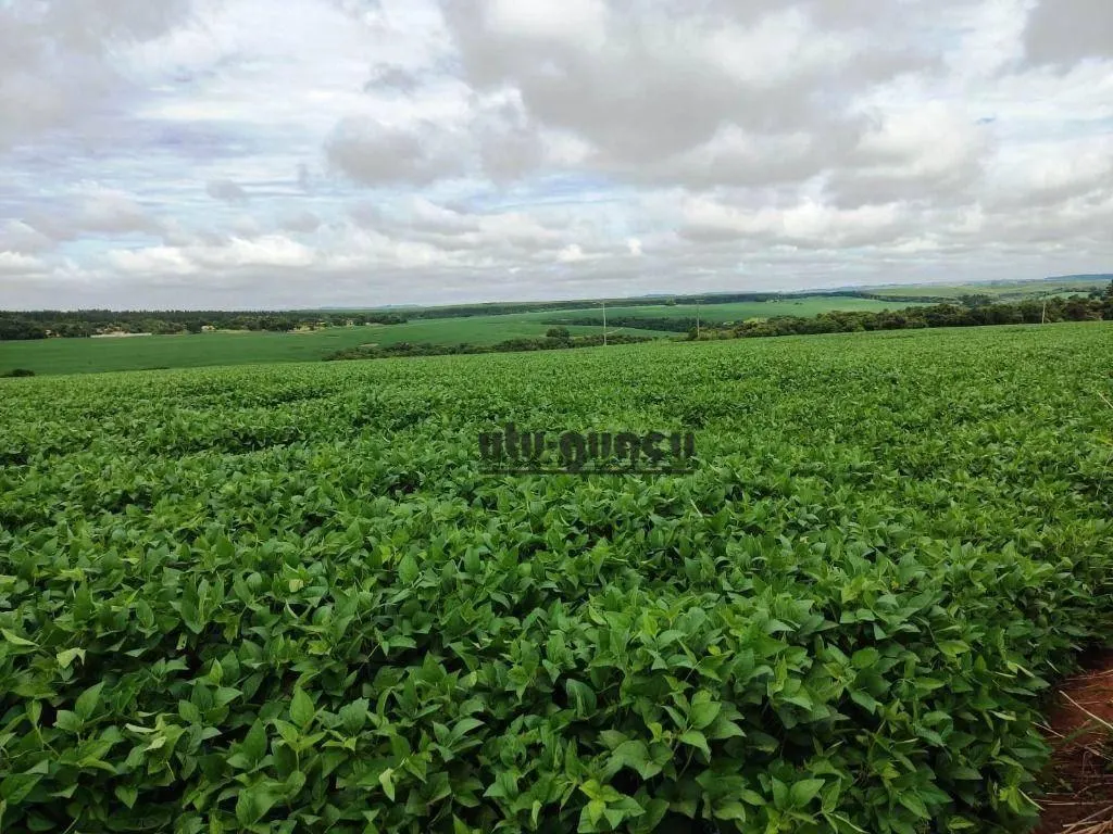 Fazenda à venda de 351 ha em Itapetininga, SP, Brasil