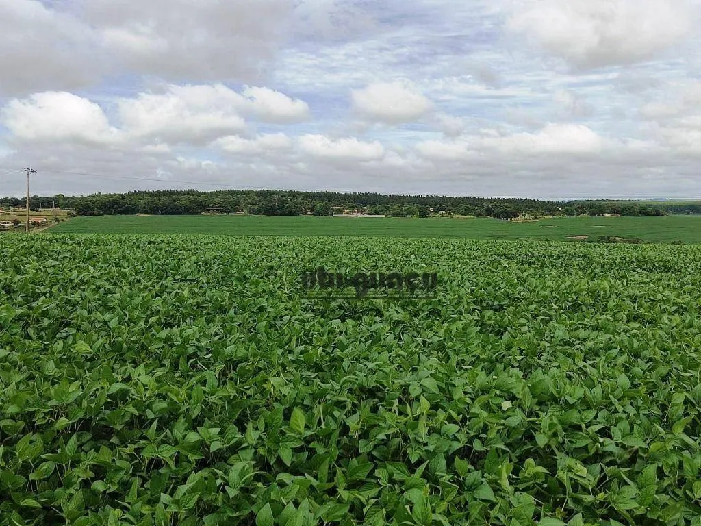 Fazenda à venda de 351 ha em Itapetininga, SP, Brasil