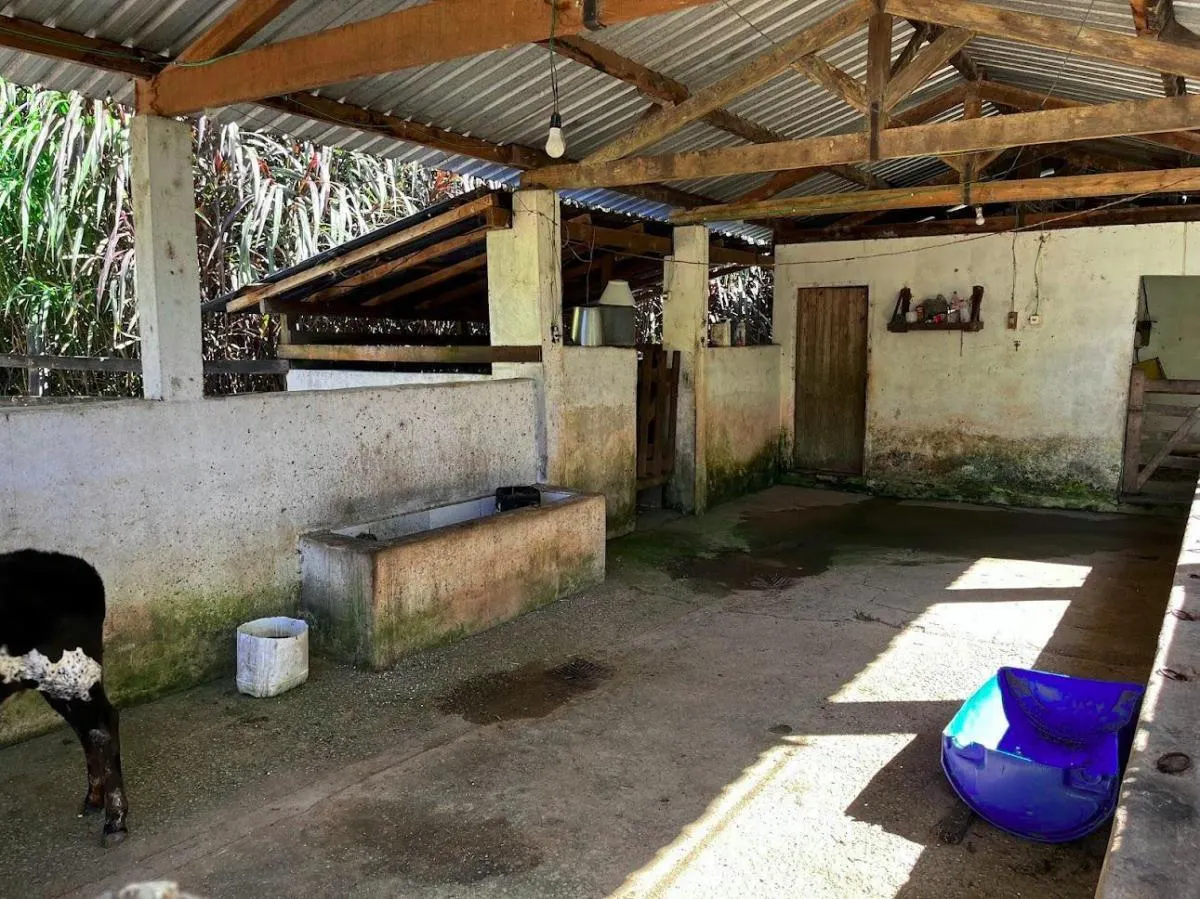 Small farm for sale of 39 acres in São Luiz do Paraitinga, SP, Brazil