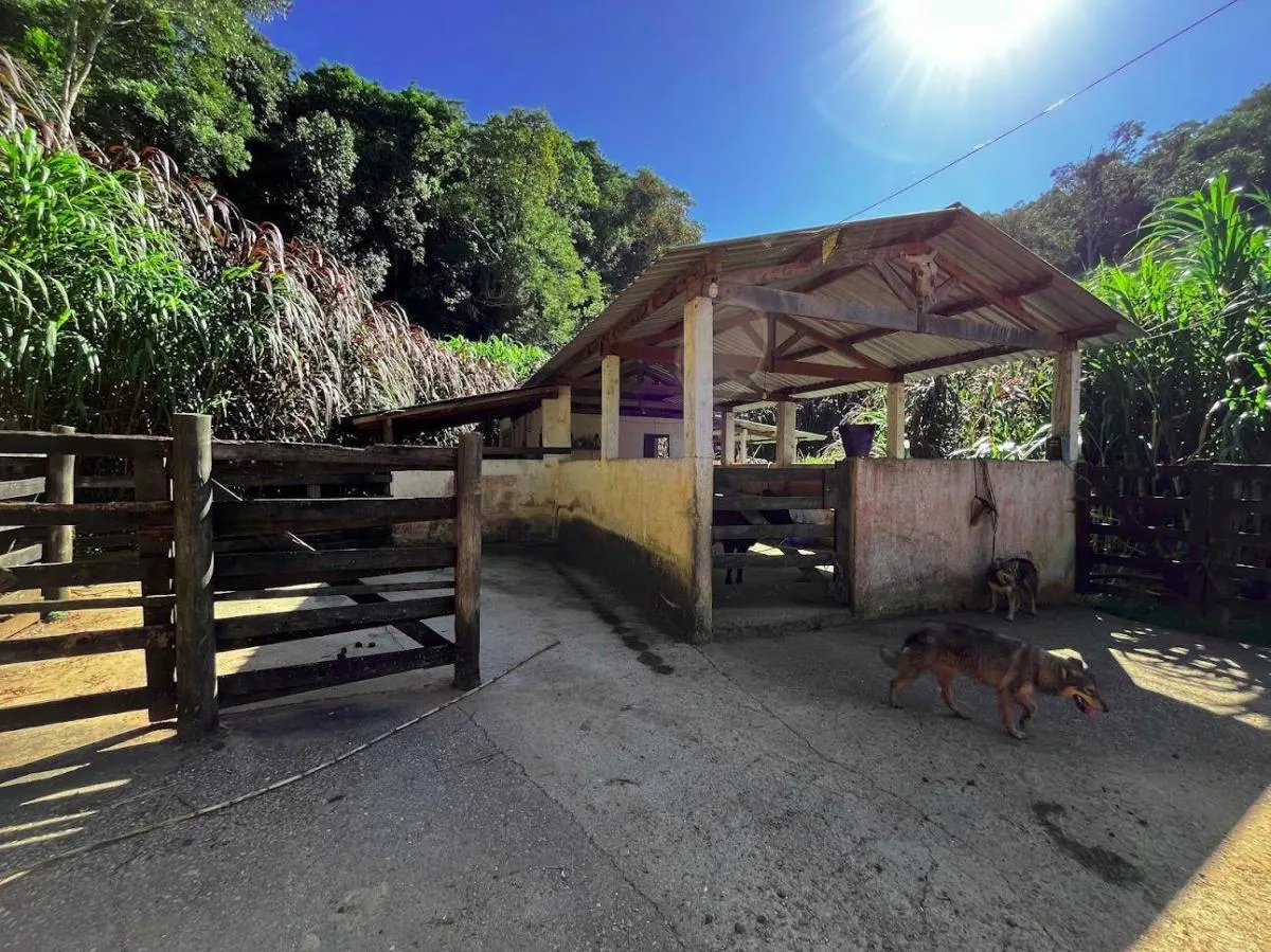 Small farm for sale of 39 acres in São Luiz do Paraitinga, SP, Brazil